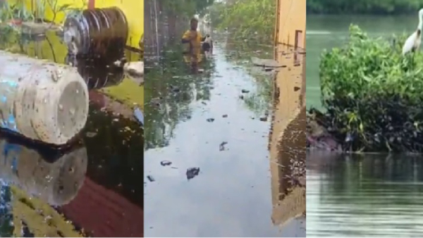 The Green Tribunal is barrage of questions on the issue of oil waste mixed in rain floods 