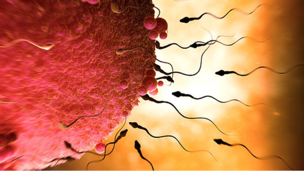  How scientist creates baby with Men Eggs and Womens Sperm with Stem Cell