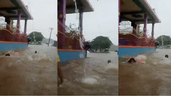 Flood like situation due to heavy rain Tirunelveli people enjoy with swimming, videos goes viral 