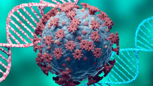 What are the symptoms of JN.1 Corono virus? details here What are the symptoms of JN.1 Corono virus? details here