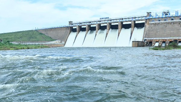 Tamil Nadu government ordered to release water for agriculture from Vaigai dam and Bhavanisagar dam 