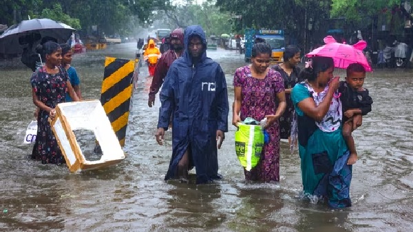  Heavy Rain Occurred in Nellai 100 years ago, More than 44 Cm Rain in many areas