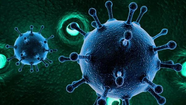  India daily corona cases touched 752 a 7-month high, amid new JN1 corona variant