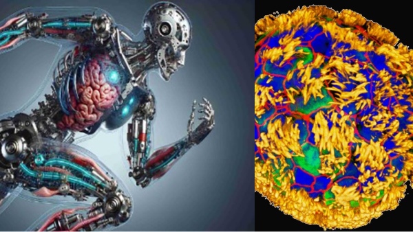  What is Anthrobots the tiny living robots from human cells that might heal all wounds