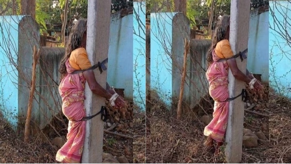 mother tied to a electric pole, thrashed by her son in Odisha for plucking cauliflower 