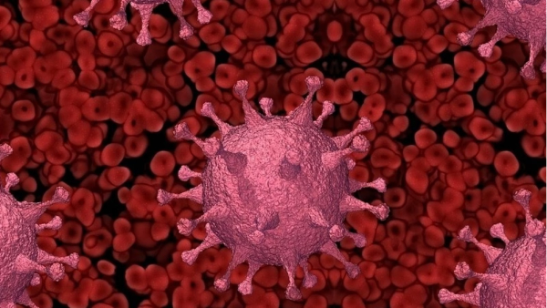  Why new Corona variant always forming on December what is the real reason