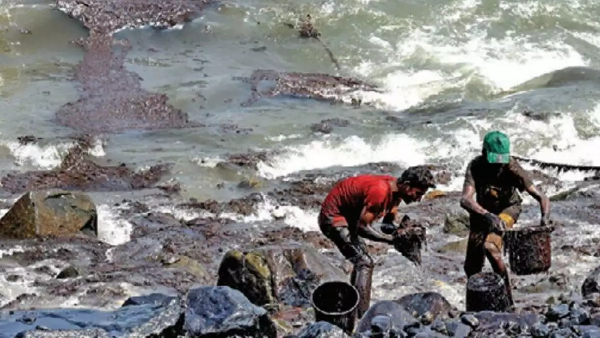 Pasumai Thayagam conduct Medical Camp for Ennore people tomorrow Pasumai Thayagam conduct Medical Camp for Ennore people tomorrow