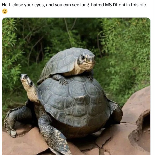 Do you find Dhoni in this picture? 