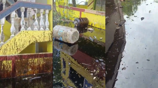 Green Tribunal registers case in case of crude oil mixed in Buckingham Canal in Chennai 