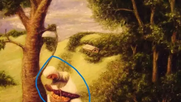 Here is the optical illusion which says that are you kind hearted or hard working? 