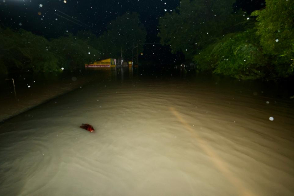 Did India Meteorological Department fail to predict rain?