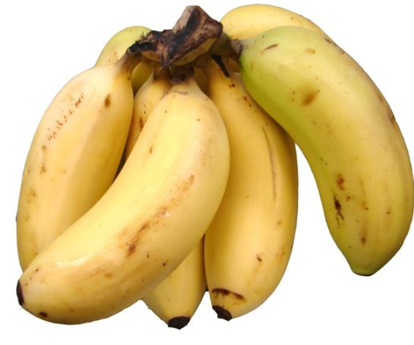 Do you know the Excellent Health Benefits of Rasthali and Can Sugar Patients can take Bananas 