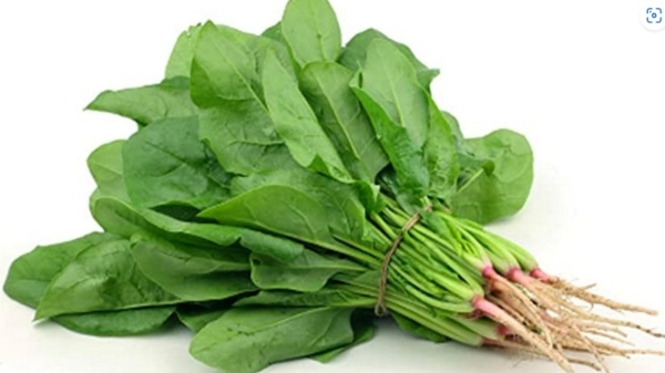 Do you know the Amazing health benefits of Kaasini keerai? 