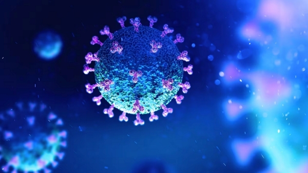 Covid Data Analyst says that no new variant in India in last 30 days 