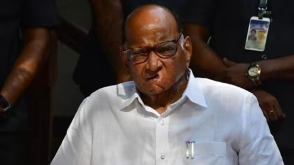 I.N.D.I.A bloc no need PM Face for Lok Sabha Election 2024: Sharad Pawar 
