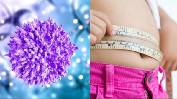 Do you know the Excellent Benefits of White Pepper and Cinnamon Tea is the Best Drink for Weight Loss Do you know the Excellent Benefits of White Pepper and Cinnamon Tea is the Best Drink for Weight Loss