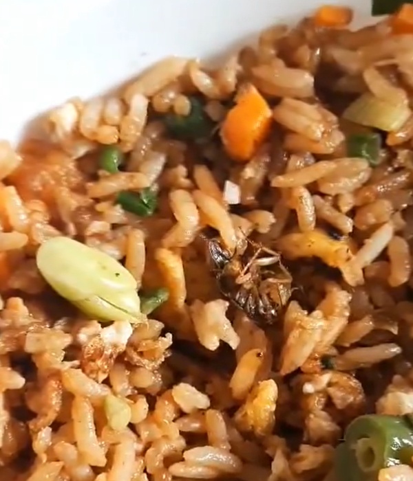Bengaluru woman finds cockroach in Zomato ordered Chicken fried Rice, vidoe goes viral 