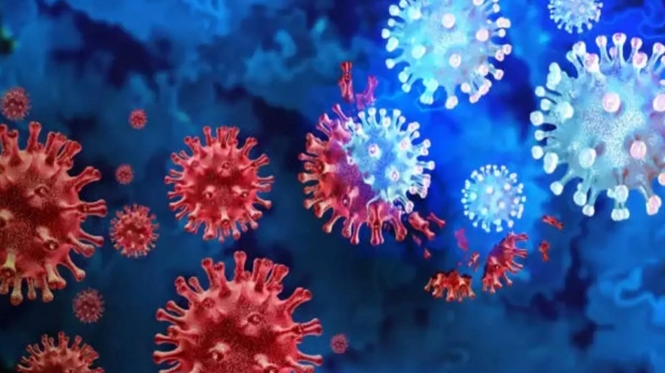  Covid-19 subvariant JN1 Increase in Kerala, What are the symptoms?