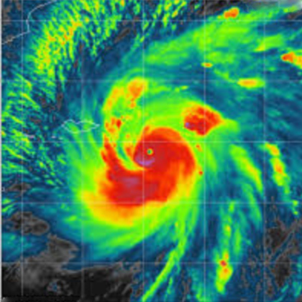 Chennai Flood due to Heavy Rain and shortage of petrol and diesel, including Chennai Anna Nagar