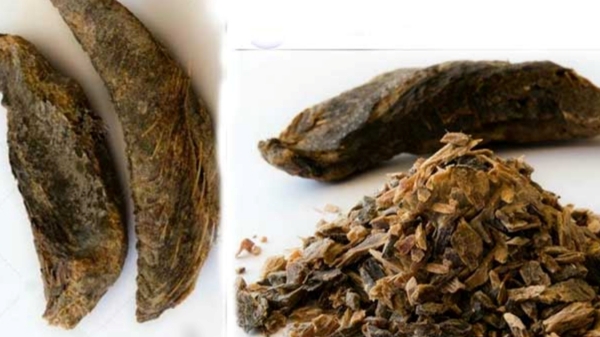 Do you know the Excellent Health Benefits of Maasi Karuvadu and Maasi Dry Fish is the Best for Pregnant Women
