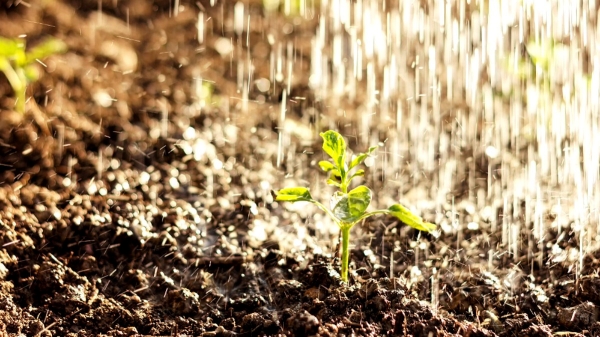 How Soil smell when it rains? and what is the reason behind sand smell? details here How Soil smell when it rains? and what is the reason behind sand smell? details here