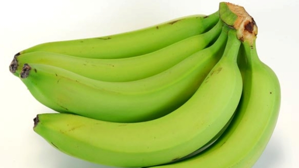 Do you know the Health Benefits of Raw Banana and Can Diabetic Patients eat Raw Banana Do you know the Health Benefits of Raw Banana and Can Diabetic Patients eat Raw Banana