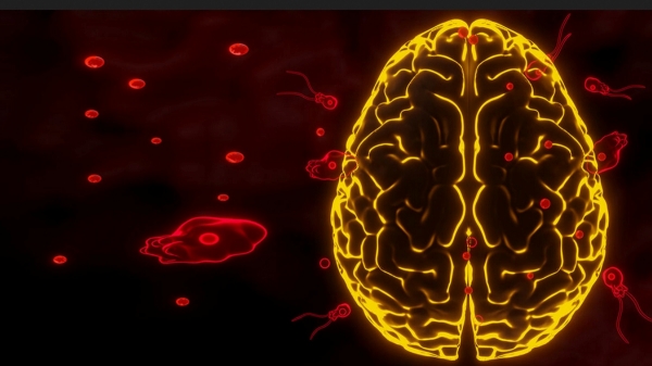  Year Ender 2023: Brain eating amoeba death in kerala and how to prevent it