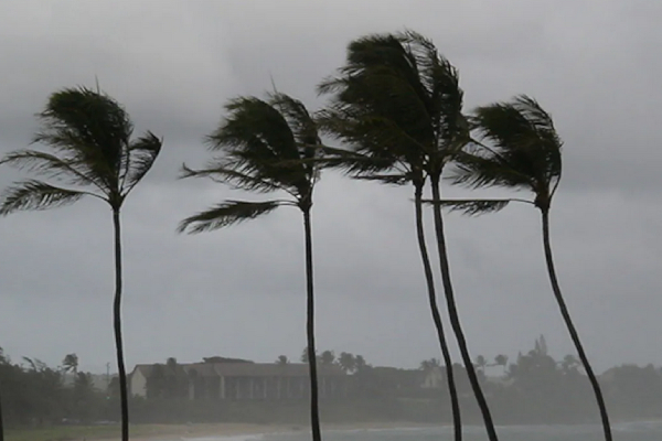  Tamil Nadu Government heavy warning to people ahead of storm Michaung cyclone