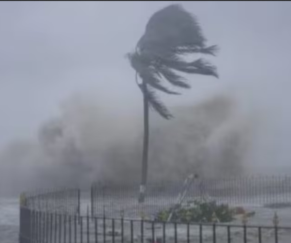 Cyclone Michaung over the Bay of Bengal is turning into a severe storm 