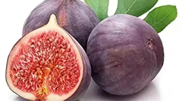 Do you know the Health Benefits of Figs and Fig Fruits are the Best food for Weight Loss 