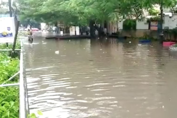 400 milk pockets washed away in flood at Royapettah 