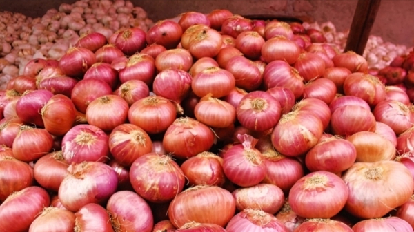 Indian Govt bans onion exports till March 31, 2024 due to price surge Indian Govt bans onion exports till March 31, 2024 due to price surge