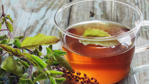  How to prepare Tulsi-Ginger Detox Drink that will help your weight loss journey