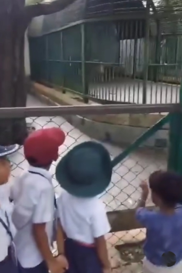 Studensts who went to Zoo calls Hyena as Leo Supparamani Studensts who went to Zoo calls Hyena as Leo Supparamani