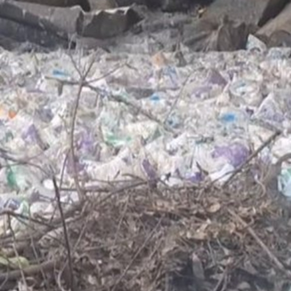 Thousands of Aavins milk packets have been dumped in the canal in Tambaram, Chennai Thousands of Aavins milk packets have been dumped in the canal in Tambaram, Chennai