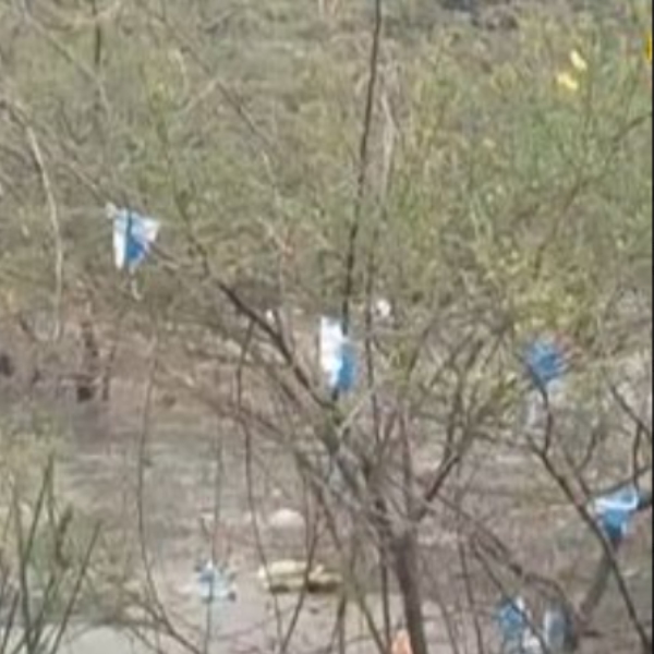 Thousands of Aavins milk packets have been dumped in the canal in Tambaram, Chennai Thousands of Aavins milk packets have been dumped in the canal in Tambaram, Chennai