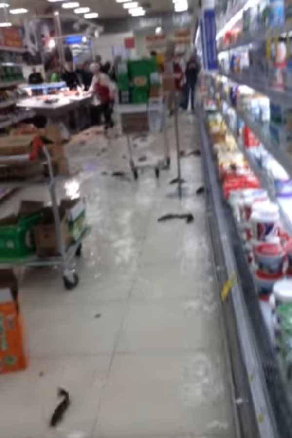 FACT CHECK on a video showing fish in supermarket during Chennai floods 