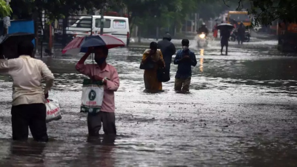 The high court criticizes that plastic waste is the cause of stagnant rains in Chennai The high court criticizes that plastic waste is the cause of stagnant rains in Chennai