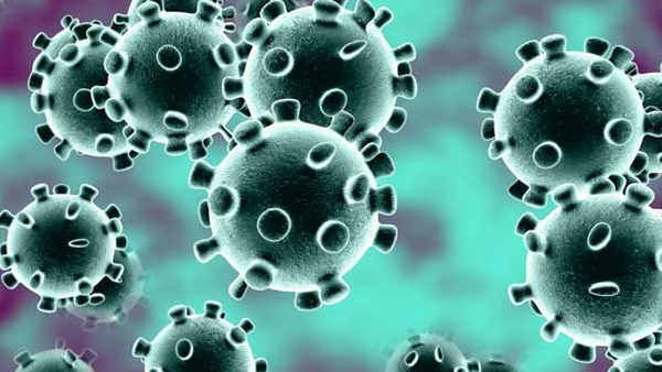 Crisis for Sabarimala Ayyappa devotees due to increasing corona virus in Kerala 