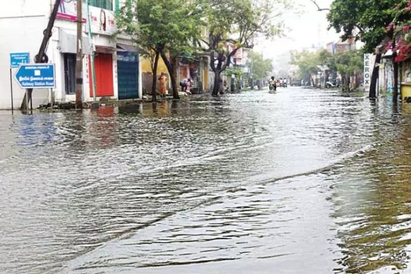 Kanimozhi MP Post Thoothukudi district people For emergency help contact through WhatsApp app 