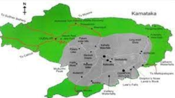 Nilgiri District Heart breaking incident and dead leopards 3 legs chopped off incident and 3 special forces probe on kotagiri Nilgiri District Heart breaking incident and dead leopards 3 legs chopped off incident and 3 special forces probe on kotagiri