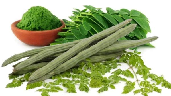 Do you know the Super Uses of Drumstick Eerkku and How to Use Murungai Eerkku Soup