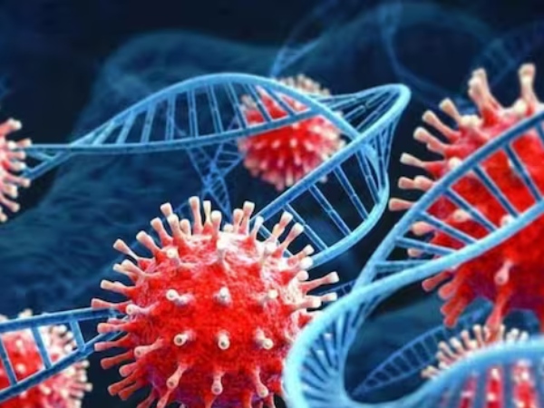 What Soumya Swaminathan said about raise of Coronavirus and its Hospitalisations What Soumya Swaminathan said about raise of Coronavirus and its Hospitalisations