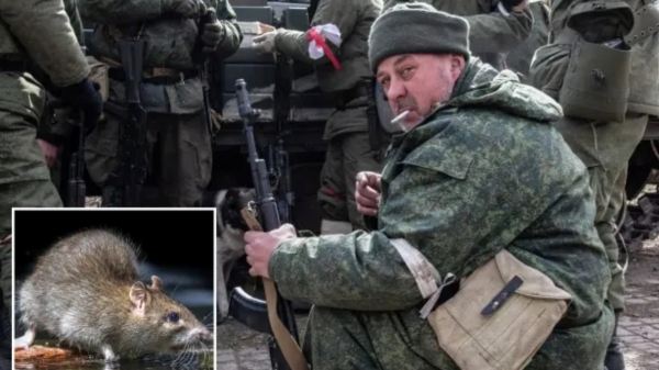  What is mouse fever that will cause Eyes bleeding spreading among Russia troops 