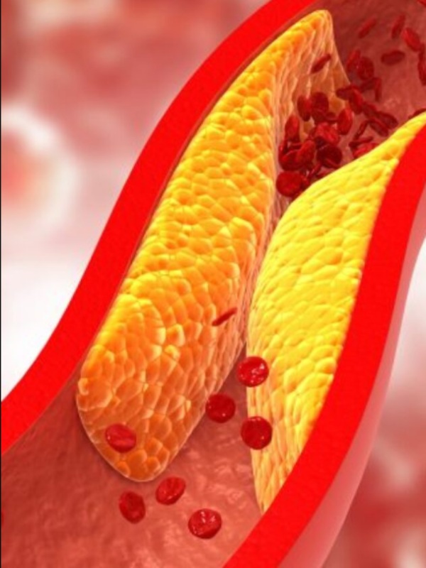 Do you know the Excellent Health Benefits of Gooseberry and Drinking Amla Juice in Empty Stomach is the Best for all Do you know the Excellent Health Benefits of Gooseberry and Drinking Amla Juice in Empty Stomach is the Best for all