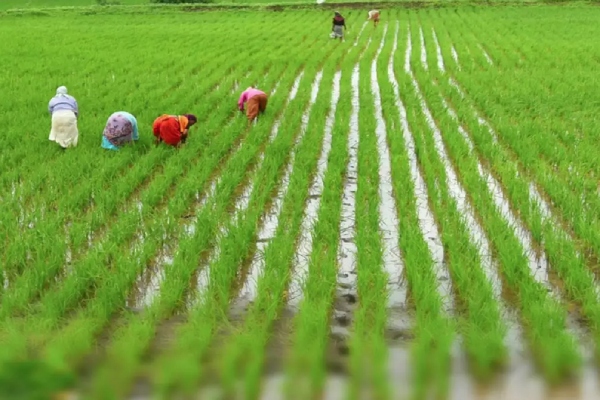 1,500 crore interest-free loan to farmers TN Minister Periyakaruppan announced 