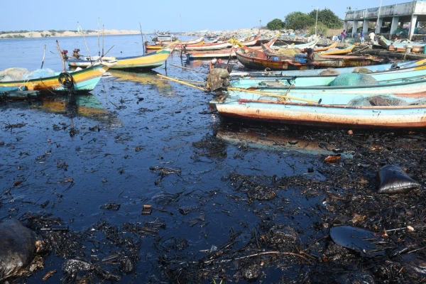 Is it safe to buy fish from north Chennai after Ennore Gas Leak and Oil Issue companies Is it safe to buy fish from north Chennai after Ennore Gas Leak and Oil Issue companies