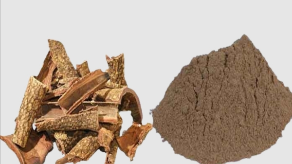 Do you know the Excellent Benefits of Banyan Tree Bark and Banyan tree barks are the Best Medicine for Skin Diseases