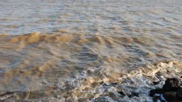 Due to extreme flooding: Tiruchendur beach is known for its blue sea coast has changed its color 