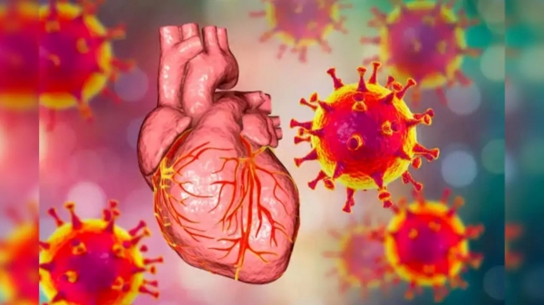  New Corona JN 1 strain could trigger a global heart failure pandemic